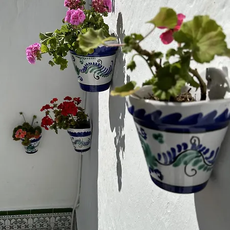 度假居 Casa Herrete 麦地那西多尼亚